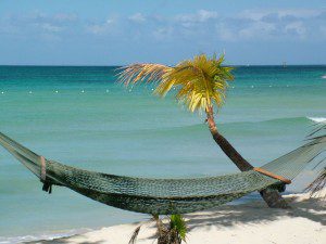 Taking the day off to relax in a hammock on a serene beach.