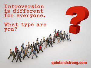 Introversion is different for everyone. What type are you?